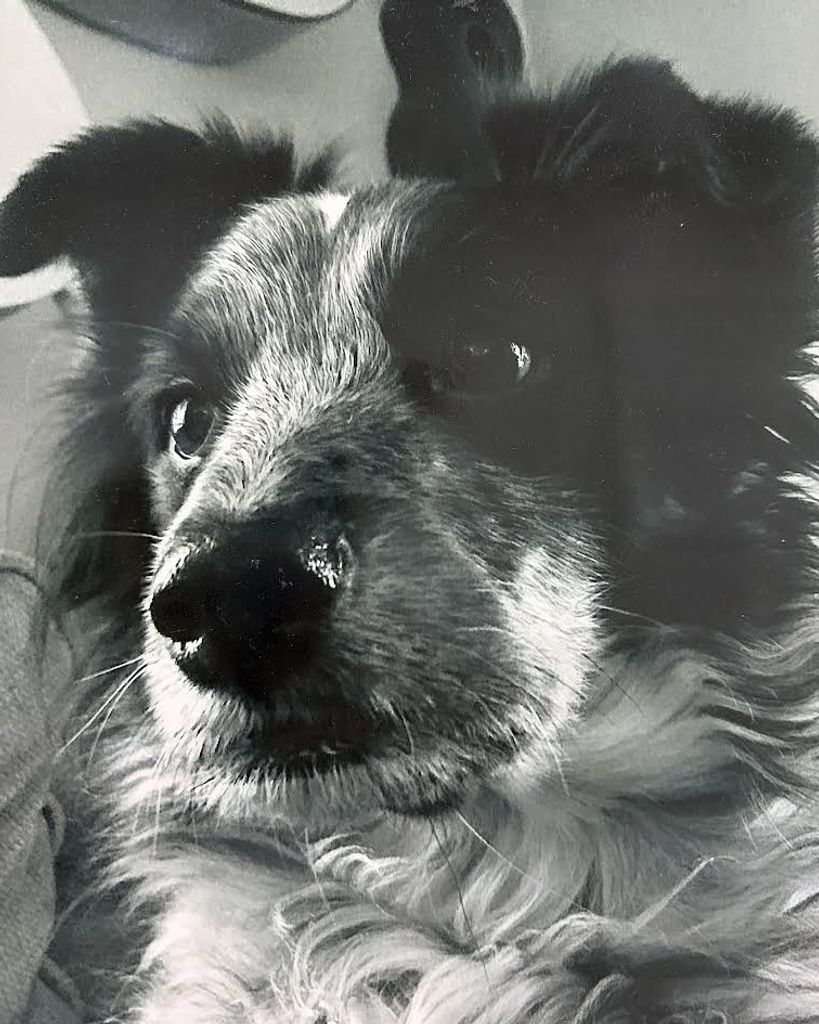 APHRIKA RICCIARDO Profile Photo