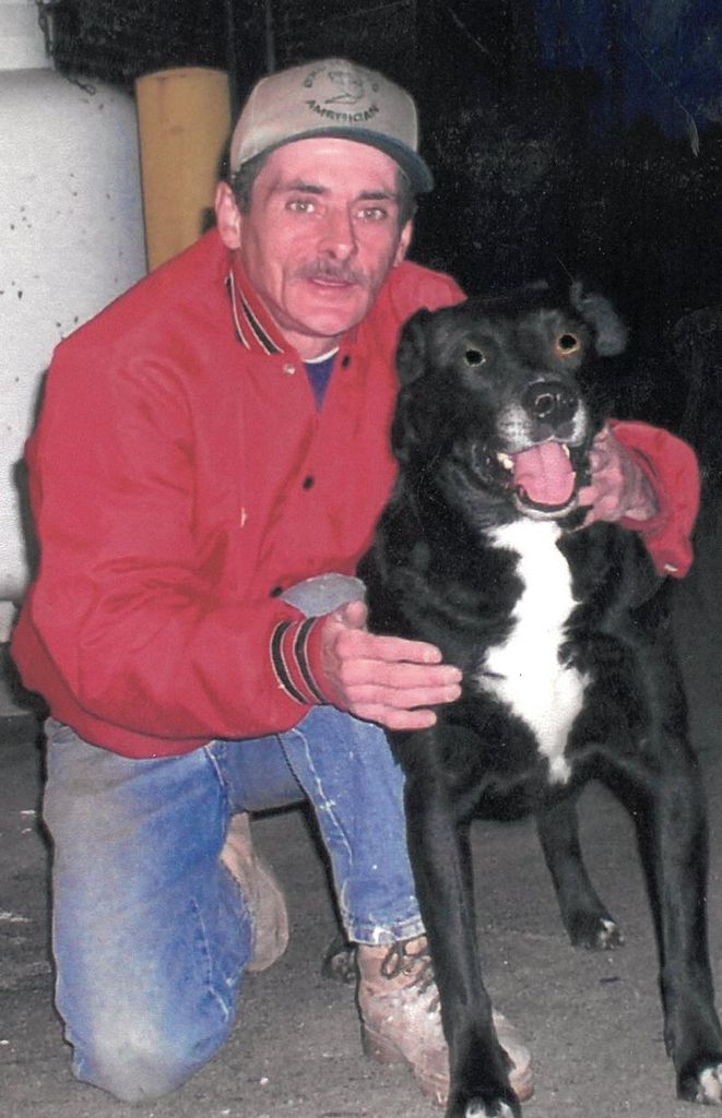 Terry Hoy Profile Photo