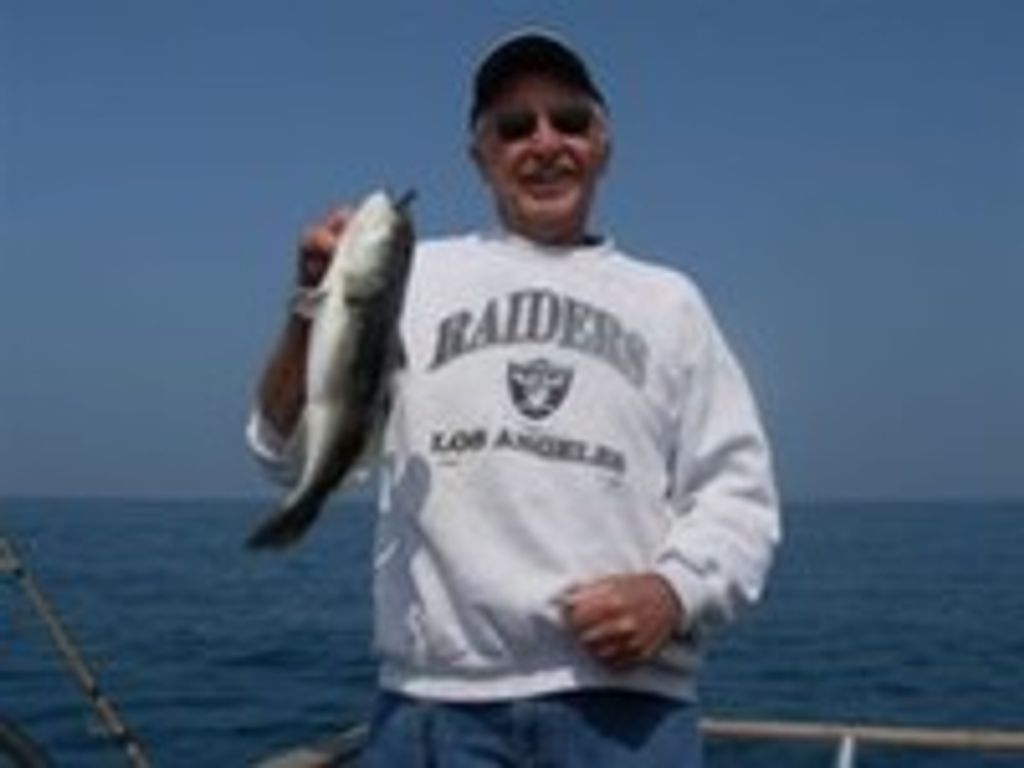 Mark Winward Steineckert