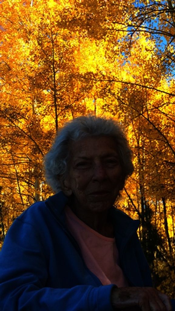 Barbara Ellen Green Lund Profile Photo