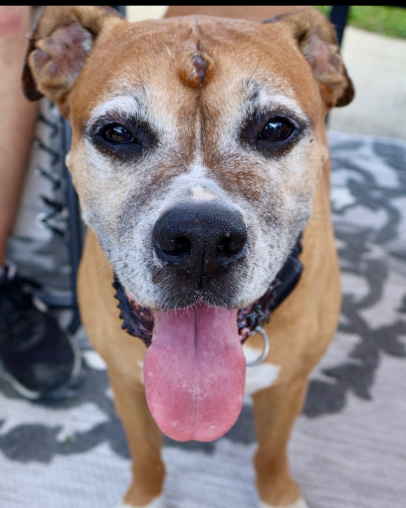 Maxer “Max” Wayne Stewart Profile Photo