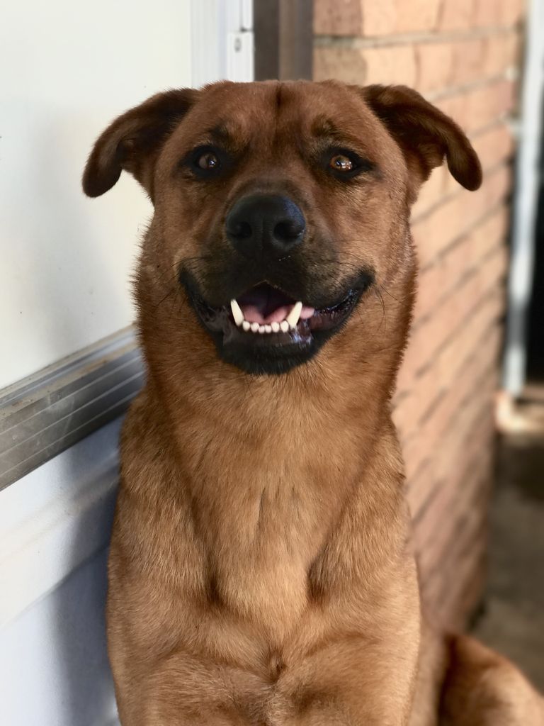 Sunny Profile Photo