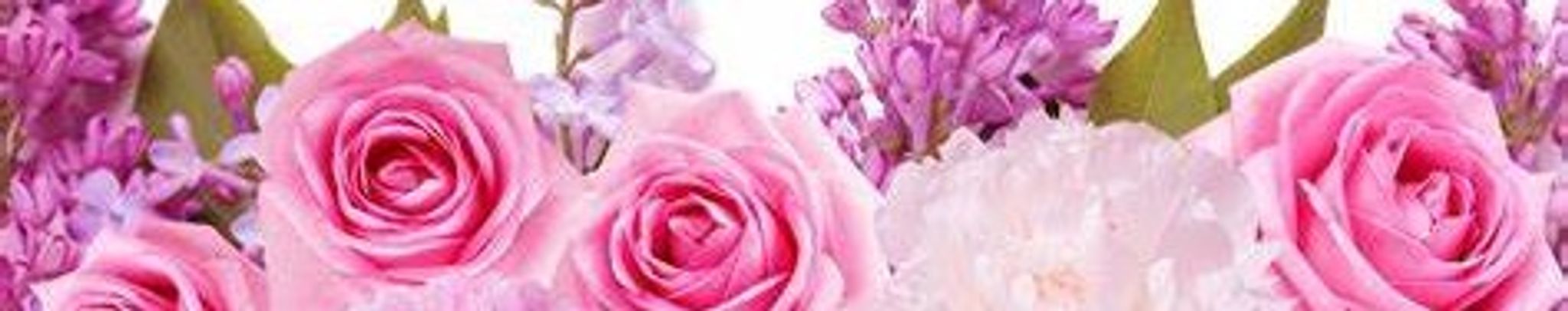 Cover photo for Nancy W. Kannenberg's Obituary