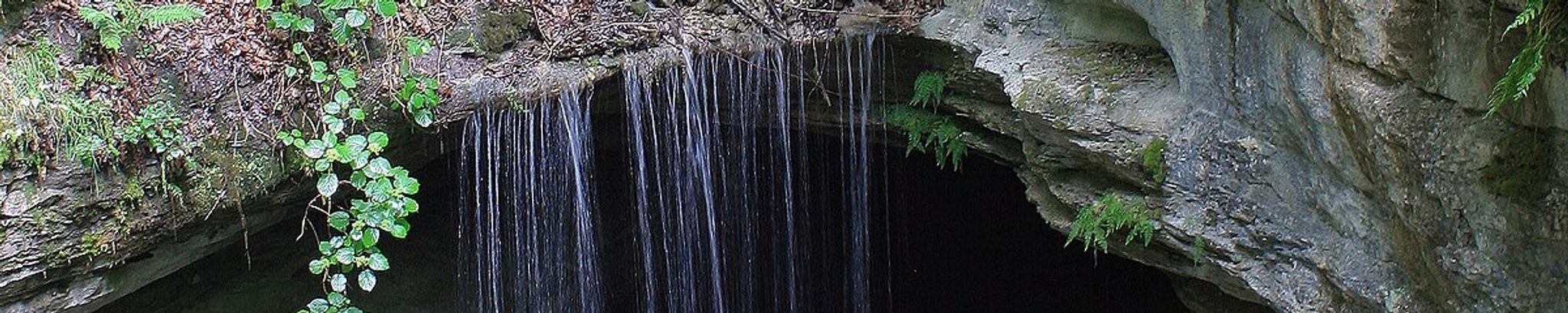 Cover for David Weston Weller's Obituary