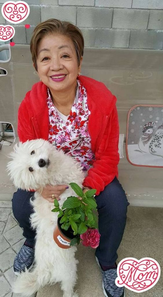 Paquita Ang Sy