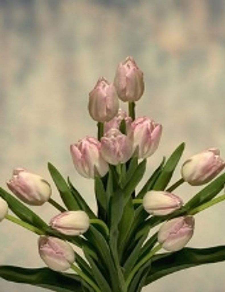 Ora Jane Kilgore Sawyer