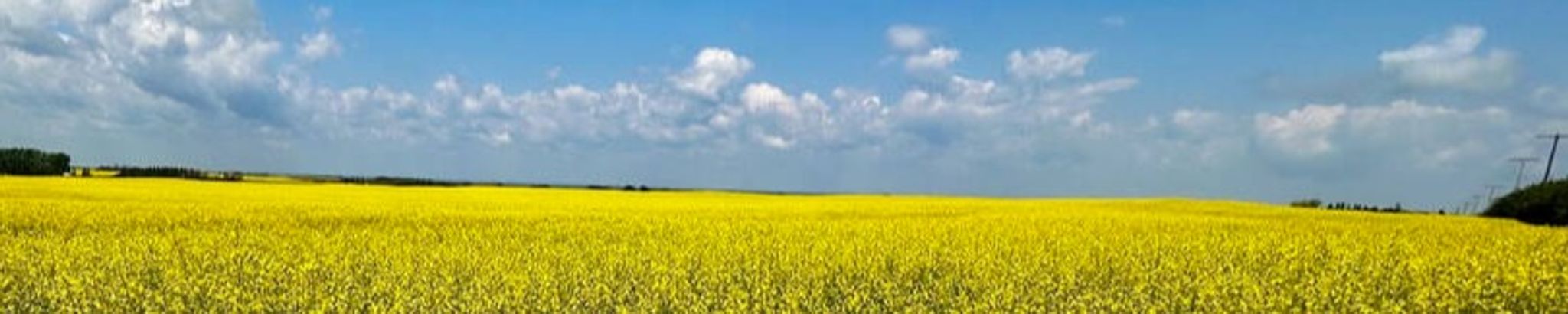 Cover photo for Roland Talbot's Obituary