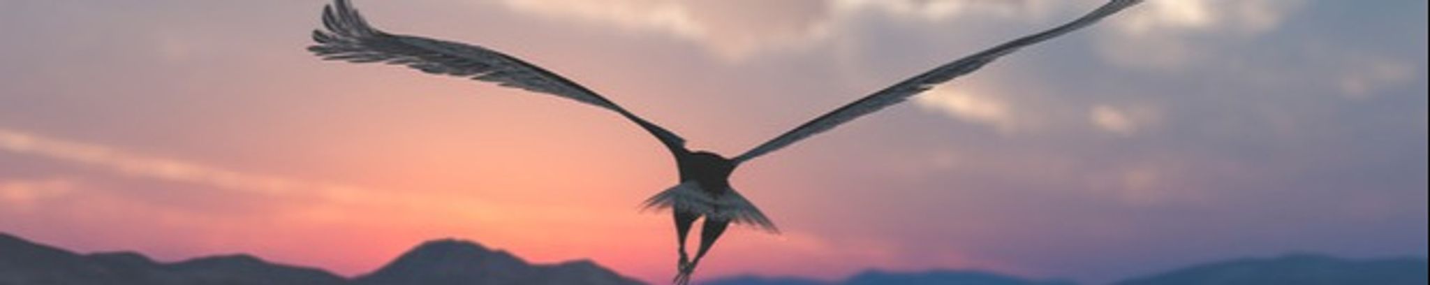 Cover for Abbie Mary Quanbeck's Obituary