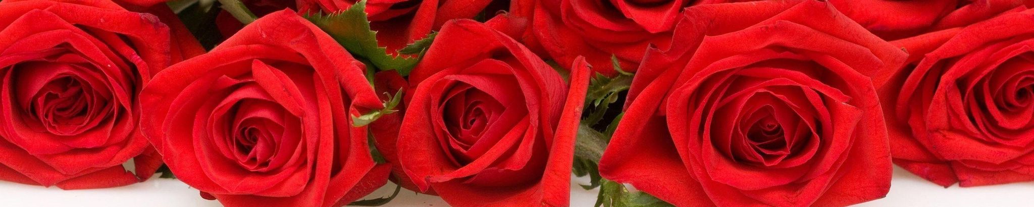 Cover for Joan Farrimond Shurtliff's Obituary