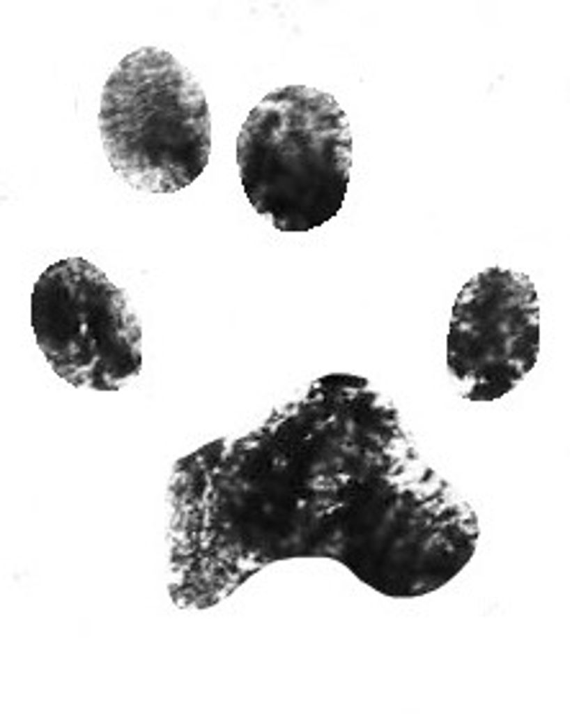 Emily Watson Profile Photo