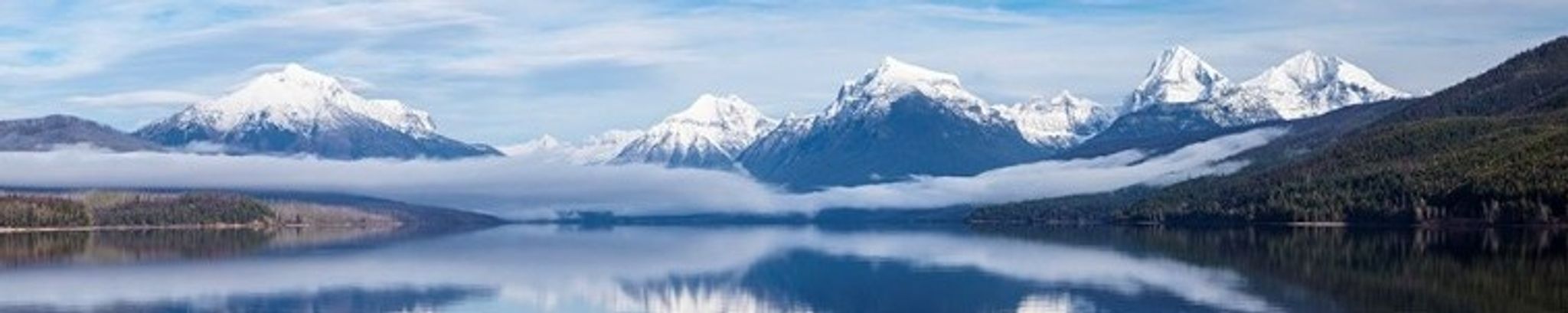 Cover for Carolyn Dee Valacich's Obituary