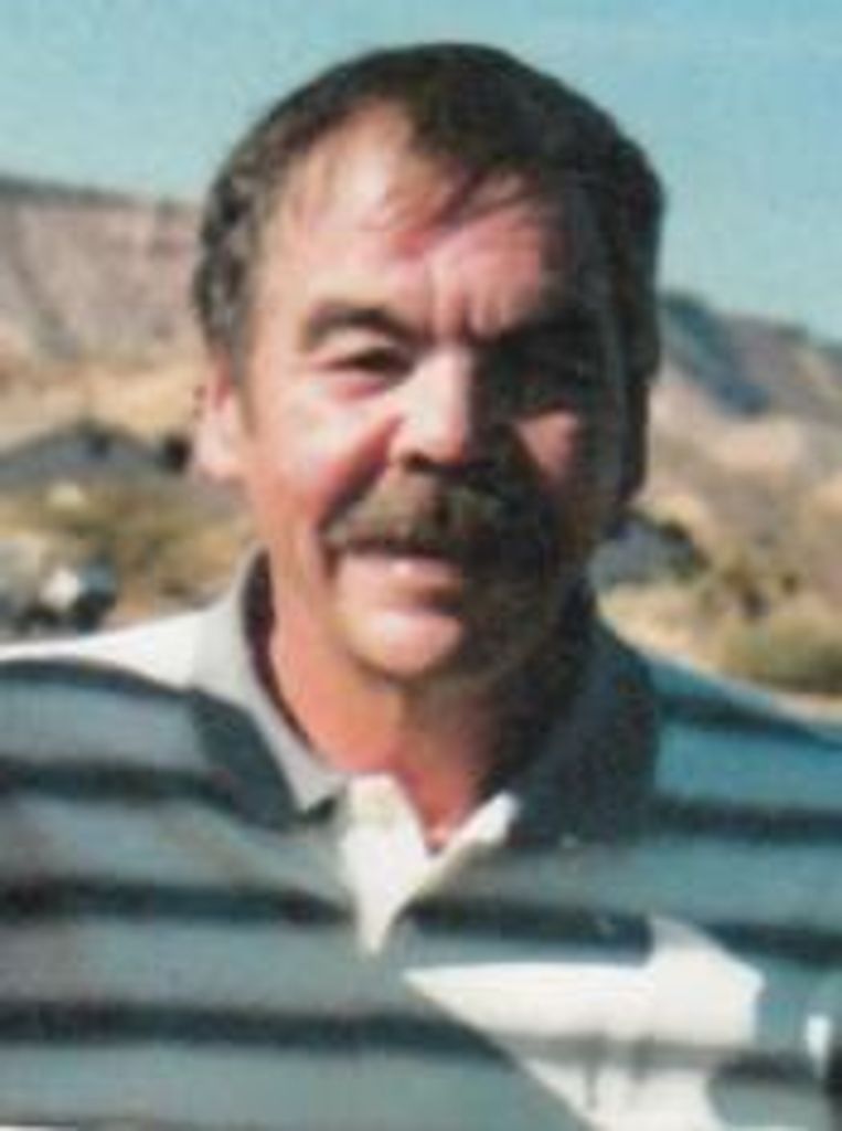 Robert C Johnston