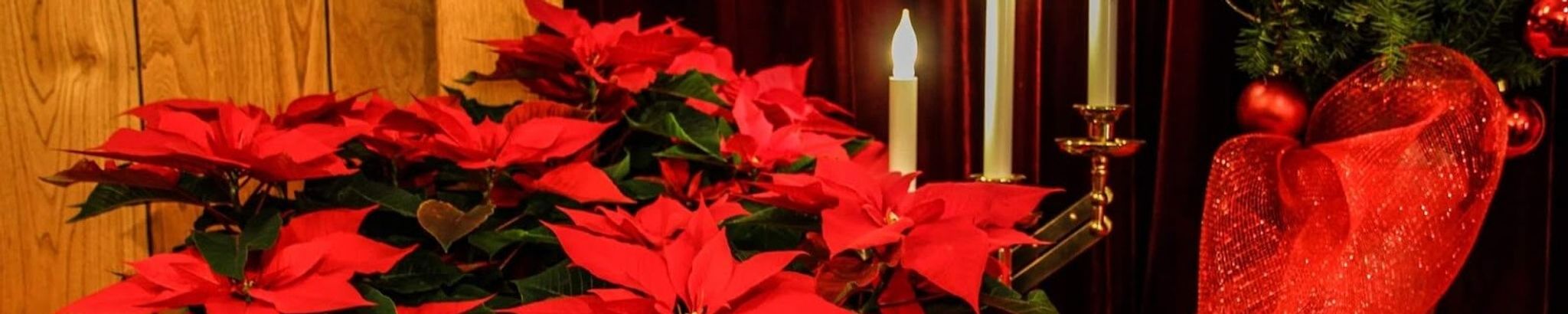 Cover for Patricia Kimball's Obituary