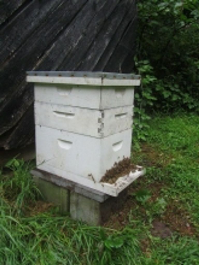 James Isaac Profile Photo