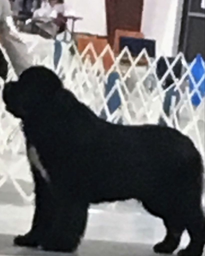 Tux Arnold Profile Photo