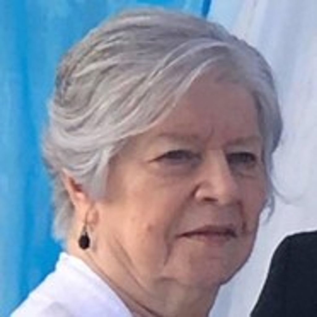 Diane Marie Wilk Johnson