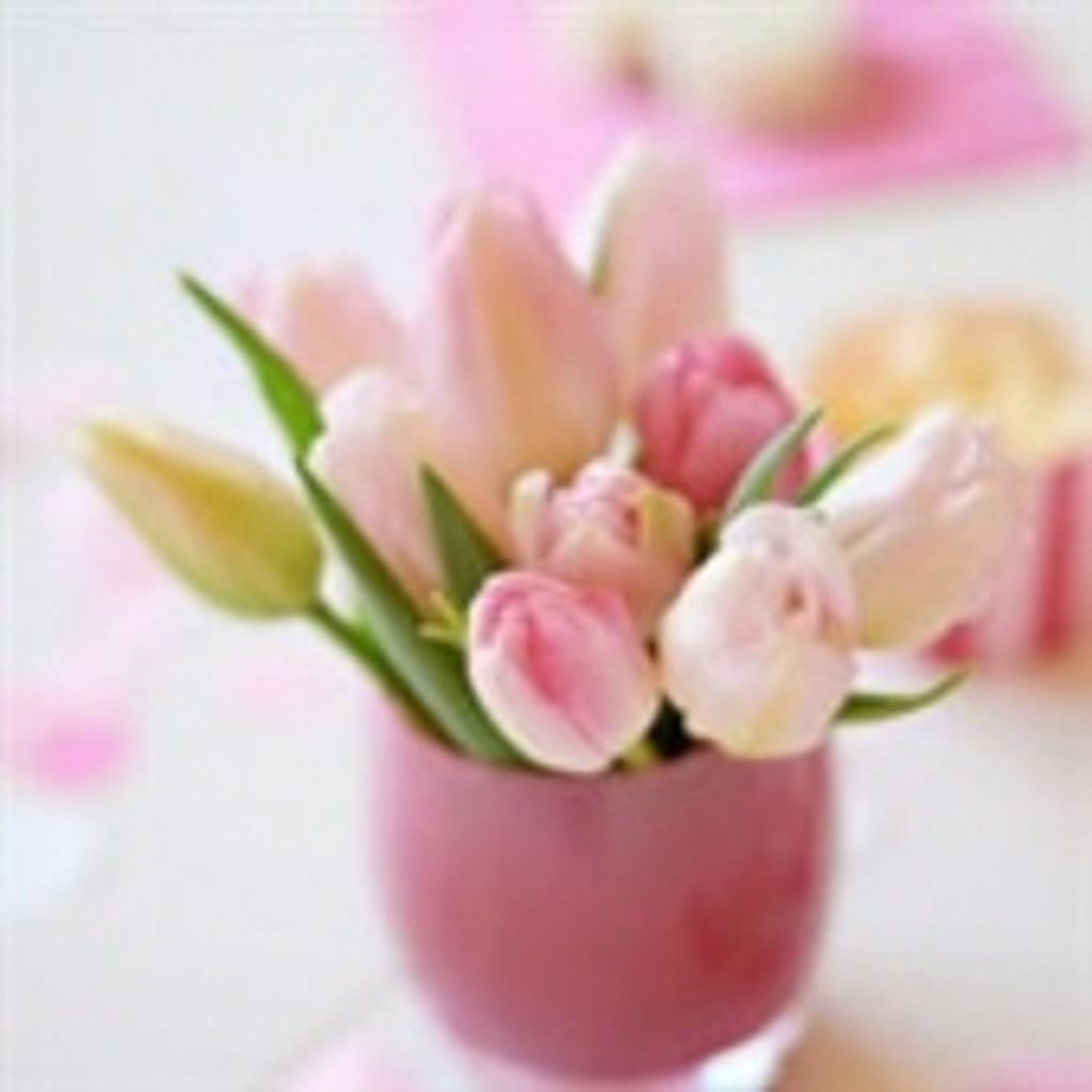 Anne Elizabeth Johnson