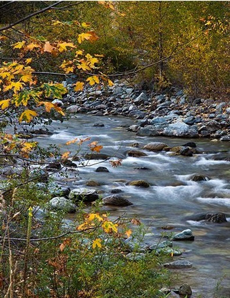 Patrick Rayburn Profile Photo