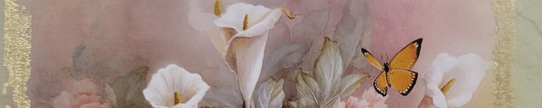 Cover photo for Barbara Walker's Obituary
