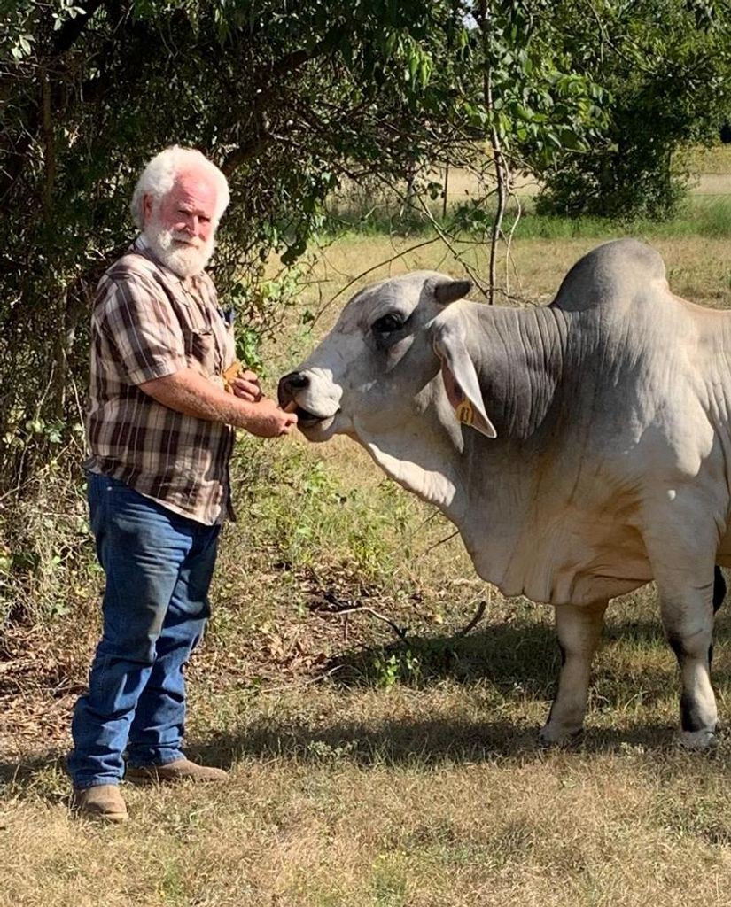 Clinton Dechaume Profile Photo