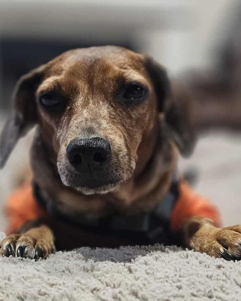 Kailey Loomis Profile Photo