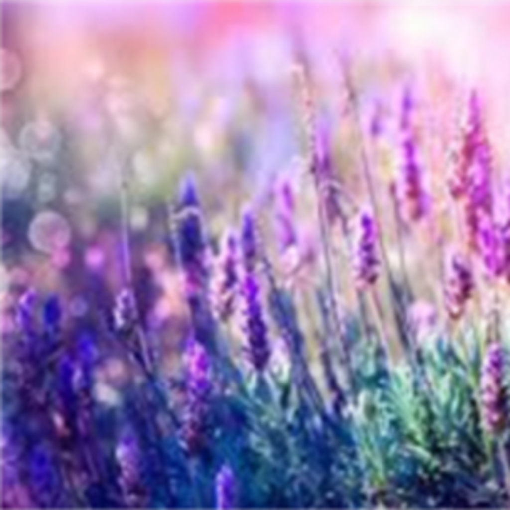 Elizabeth De Martinis