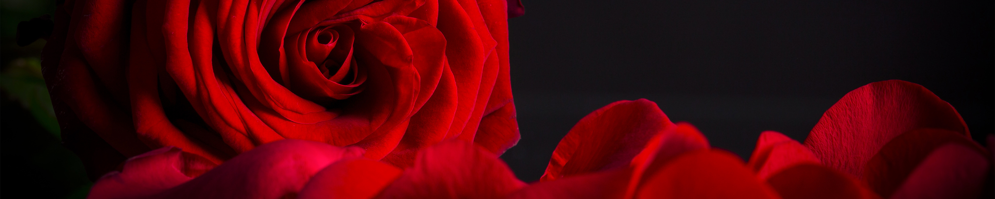 Cover for Tianna Regina Darby's Obituary