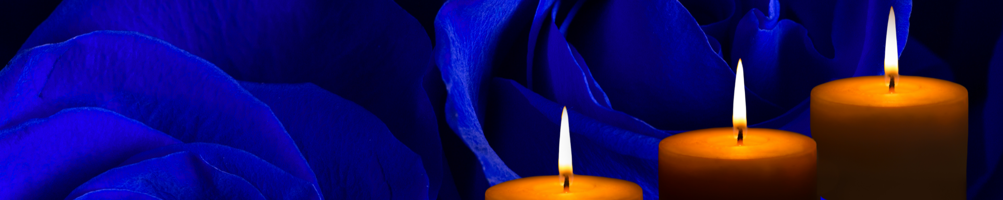 Cover for Madonna Lynne Halbert's Obituary