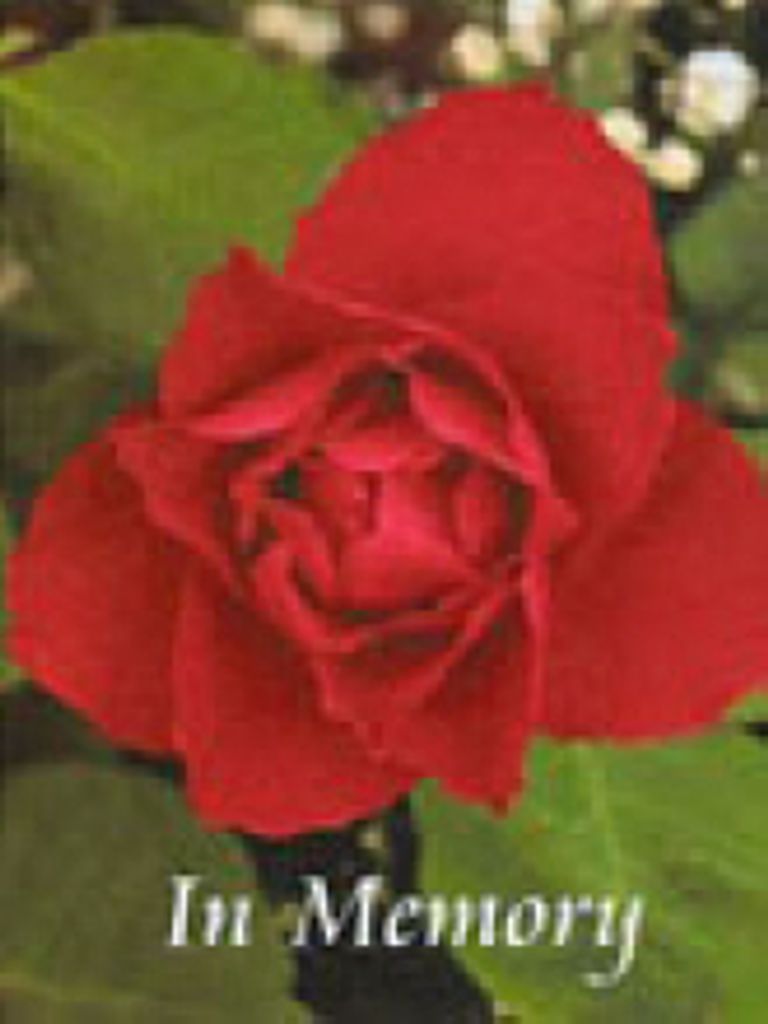 Joanne P. Trim
