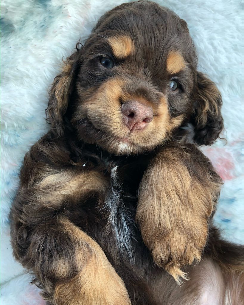 Waylon James Flippo Profile Photo