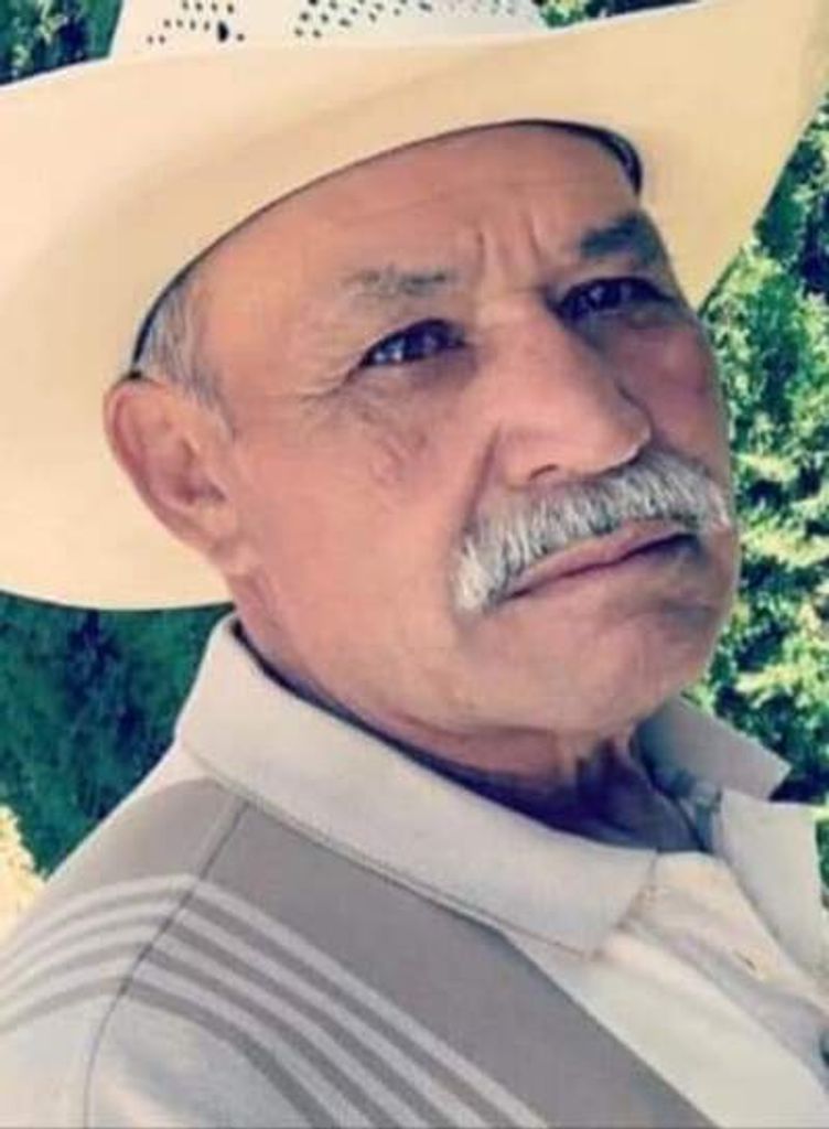 Mario Guerrero Cano Profile Photo
