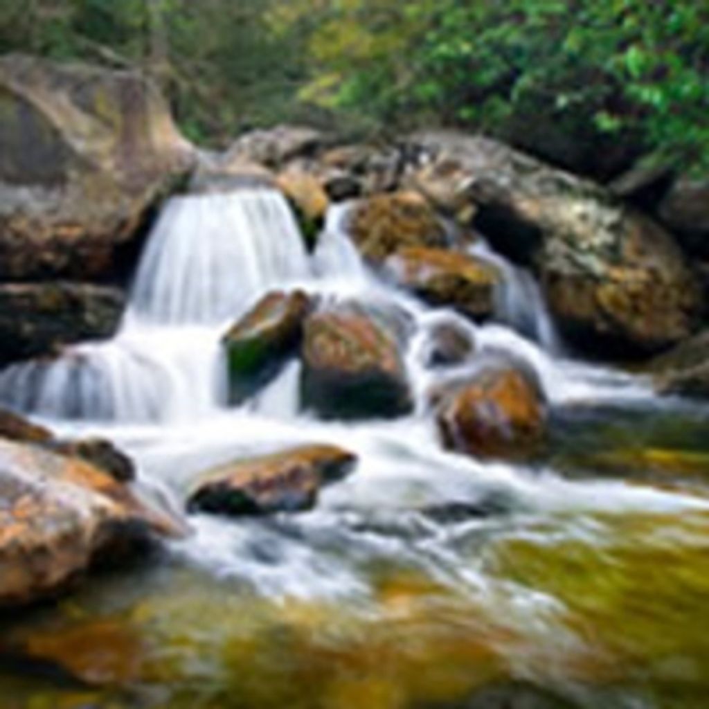 Ronald A. Kiefreider