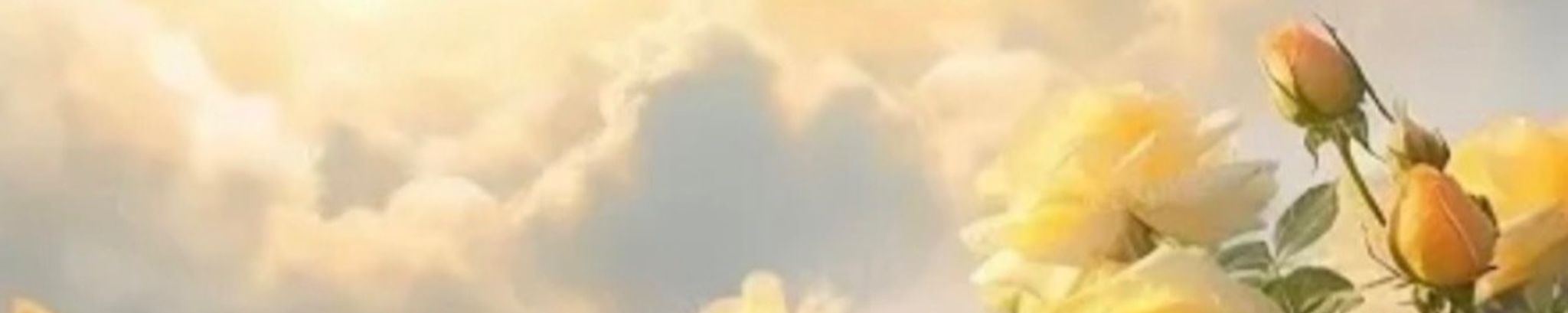 Cover for Noreen Menconi's Obituary