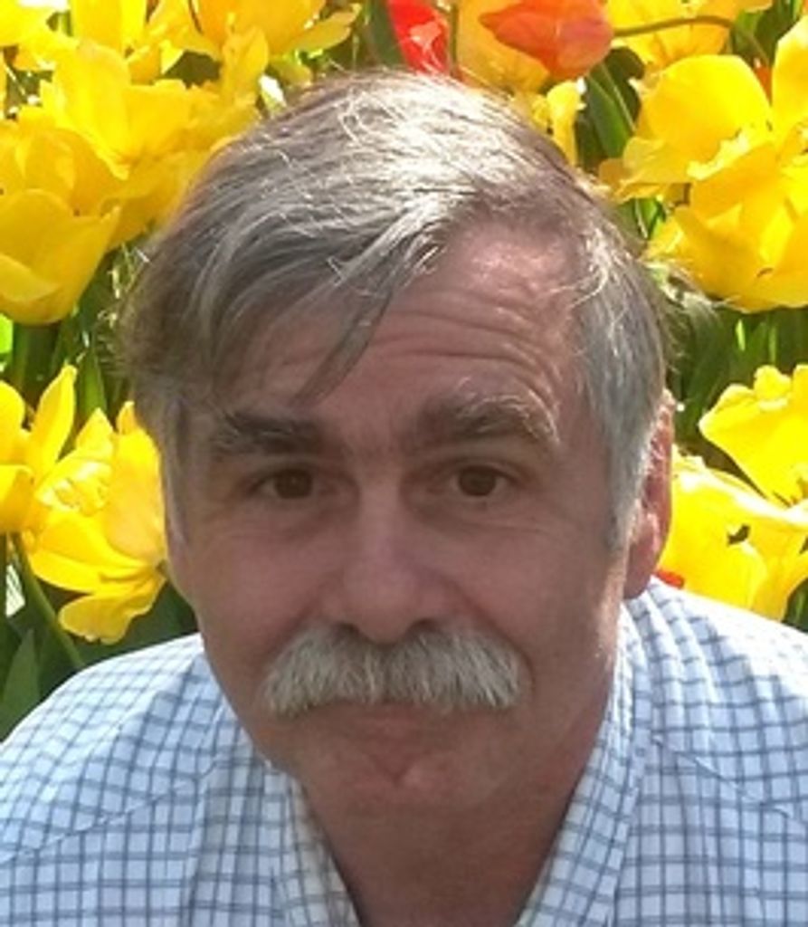 Mark De Angelis Profile Photo