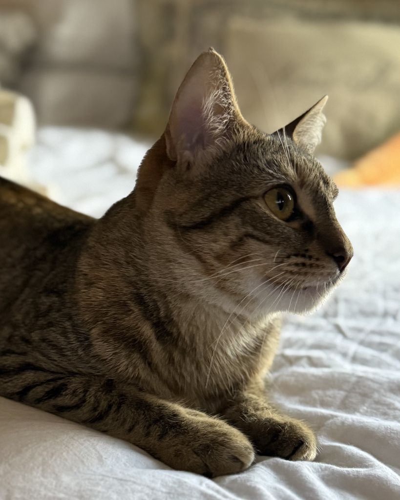 Freya 🖤 Profile Photo