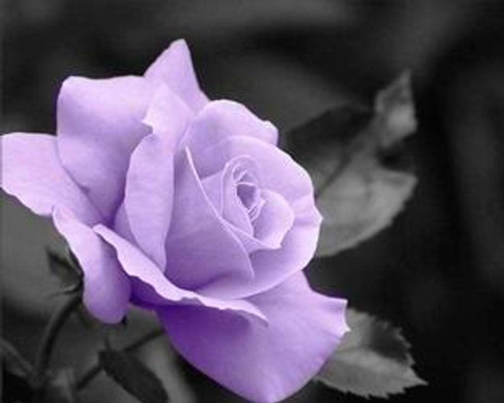 Alice May Tasker (Nee Bannon)