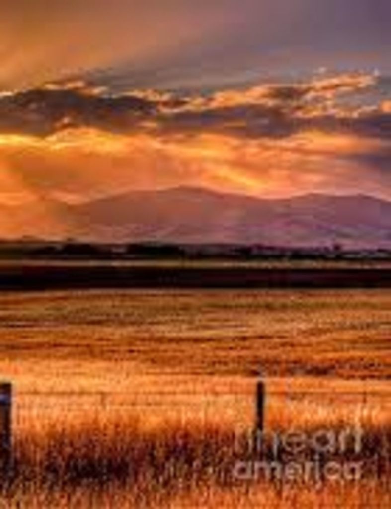 David Carlos Davis, Jr.