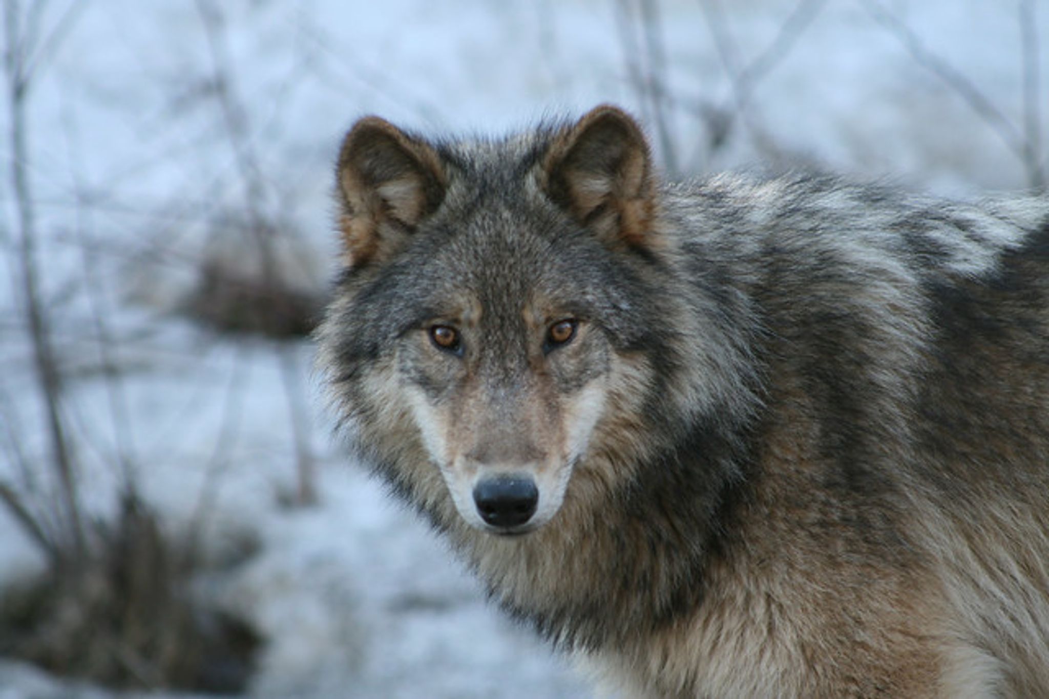 Cover for Tina Marie Jenkins's Obituary