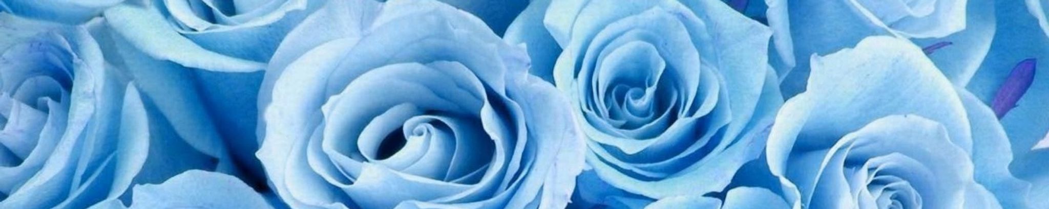 Cover photo for Neomi B. Glass's Obituary