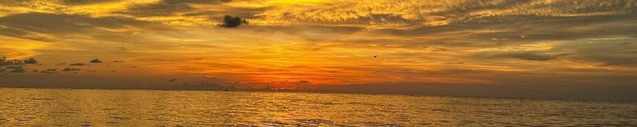 Cover for Shelley Rae Ford's Obituary