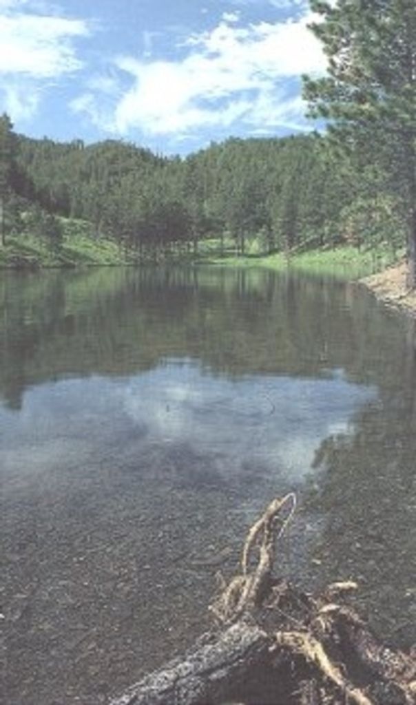 Robin Christopher Coy