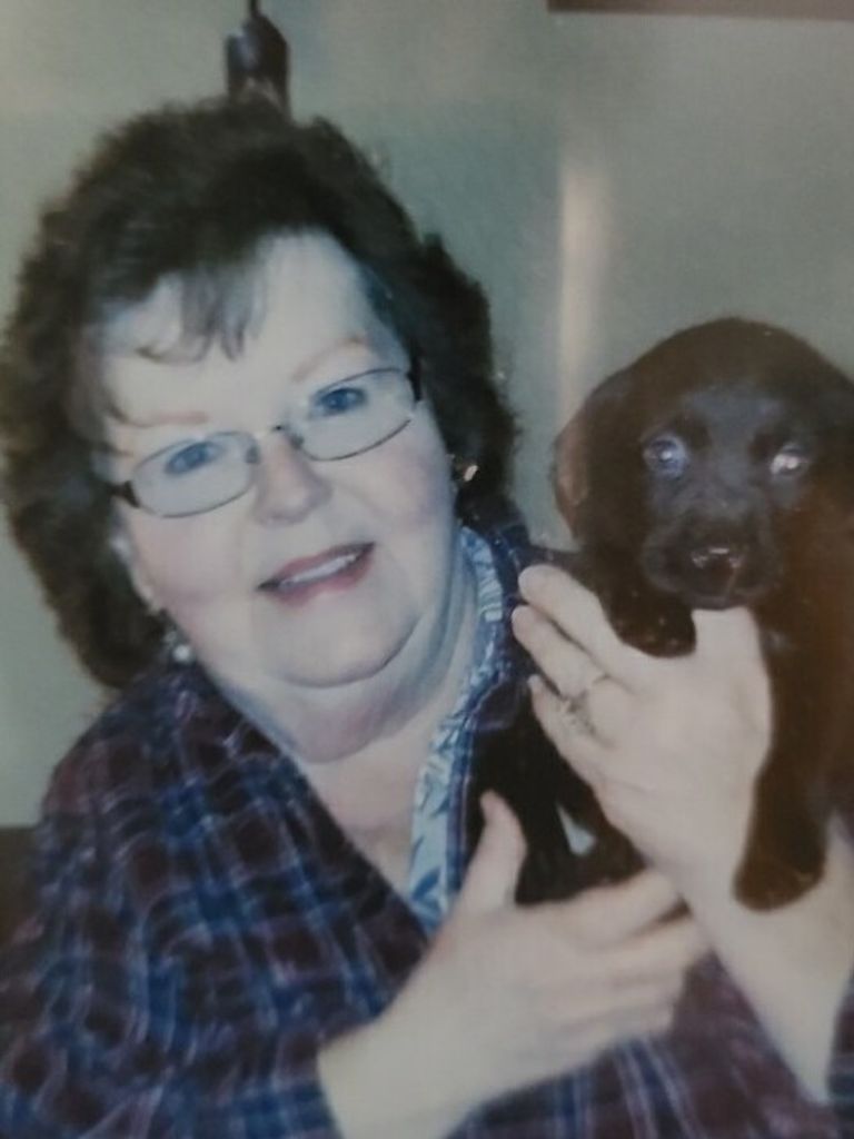 Saundra "Sandy" Sue (Neff)  Clark Profile Photo