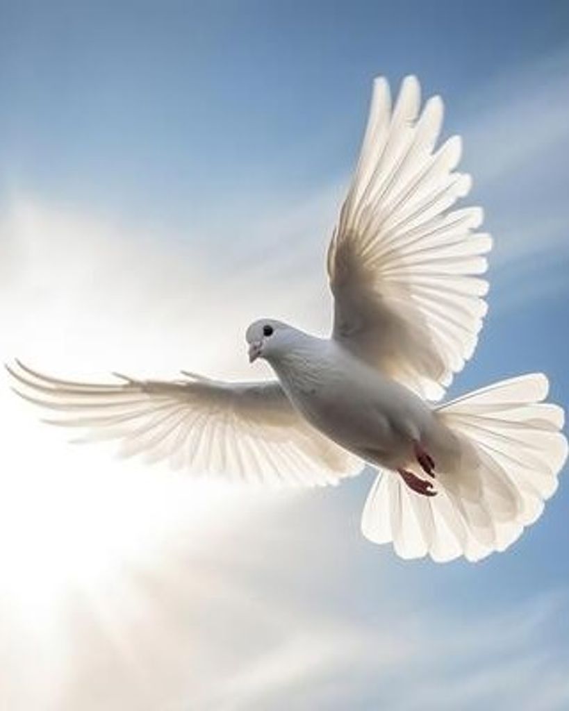 Noel F. Barlows Profile Photo