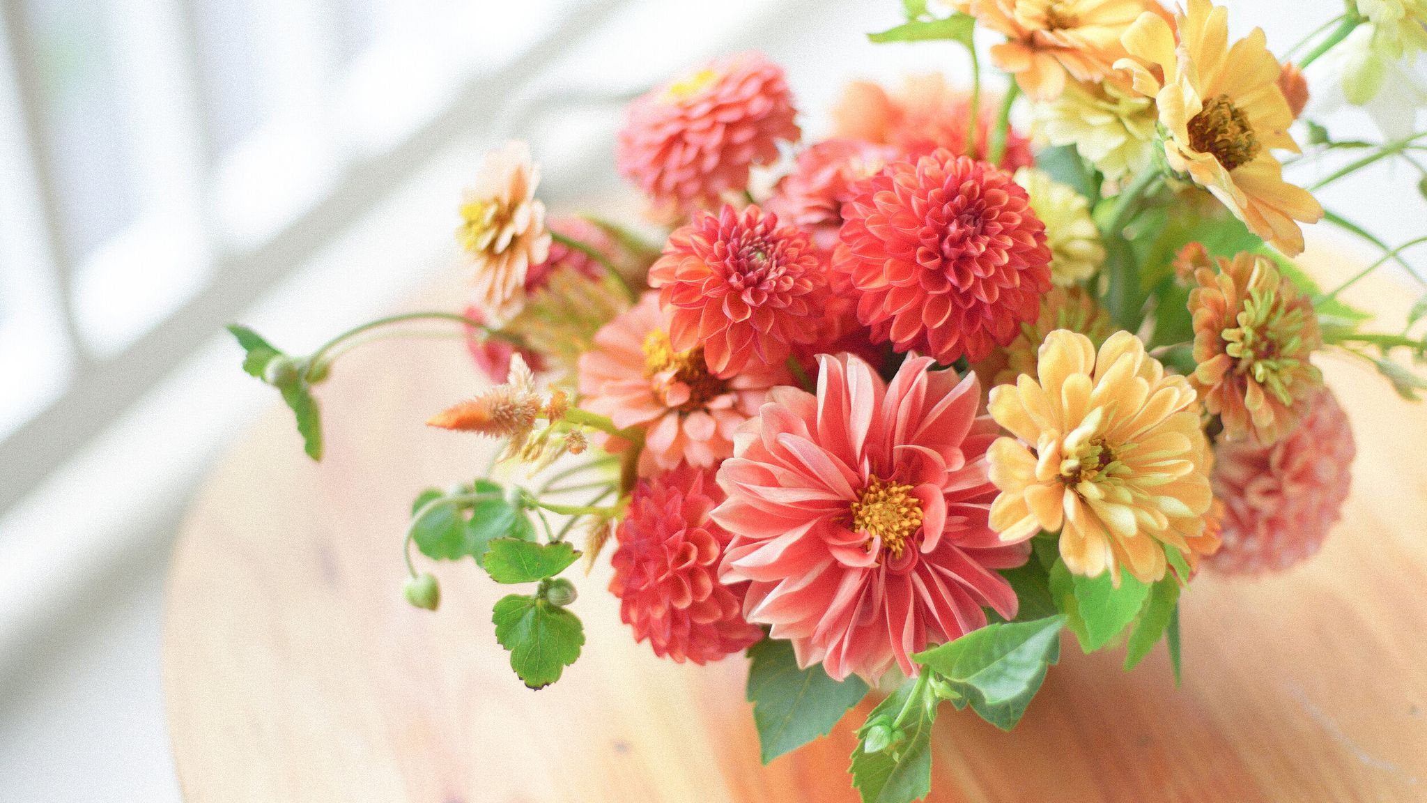 Cover photo for Marcia A. Williams's Obituary