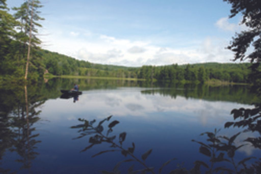 Carol Shirley Simblest