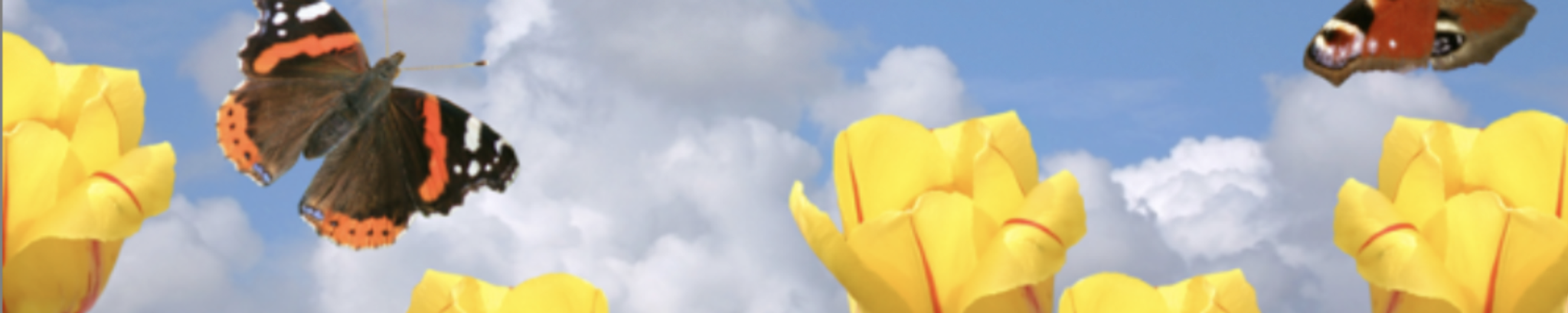 Cover photo for Patricia Kuhn's Obituary