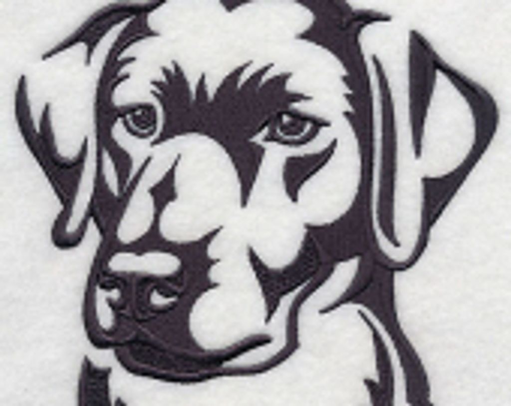 Abby Makinen Profile Photo