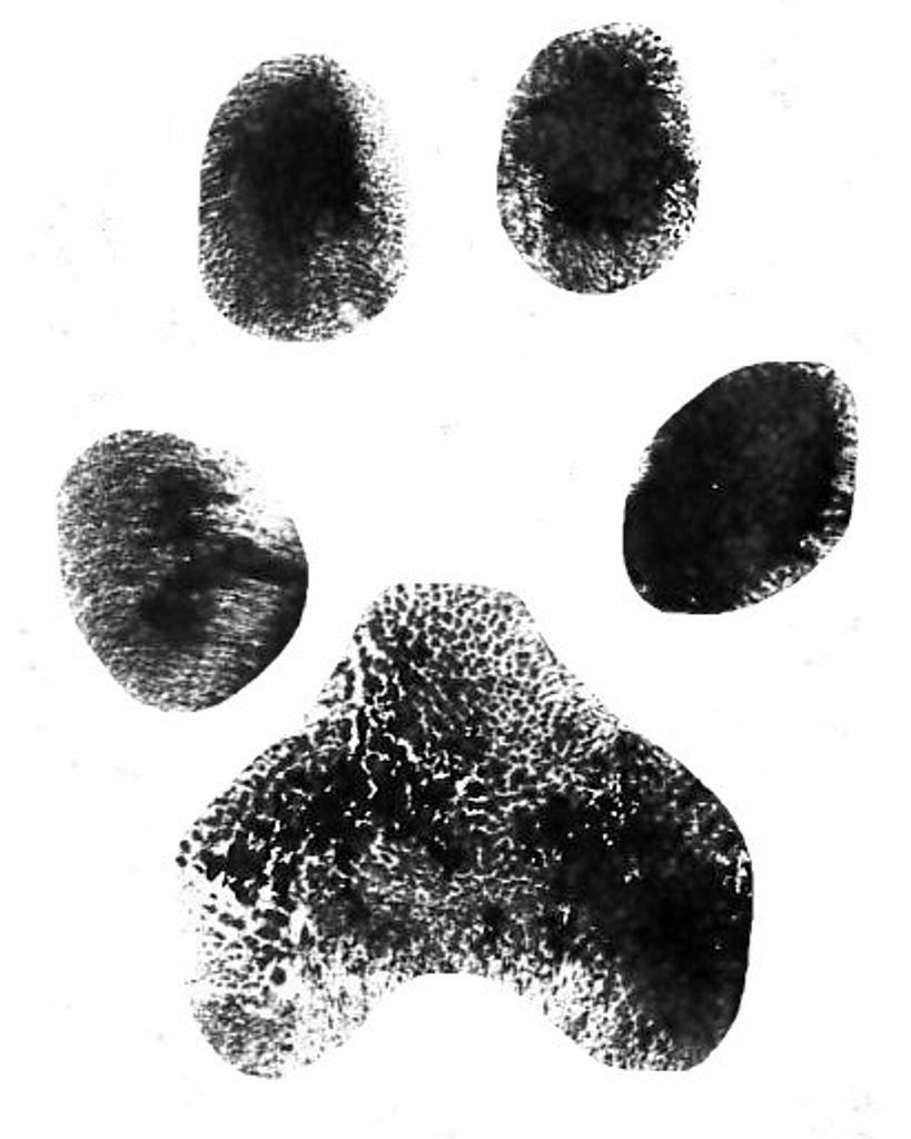 Moe Valentine Profile Photo