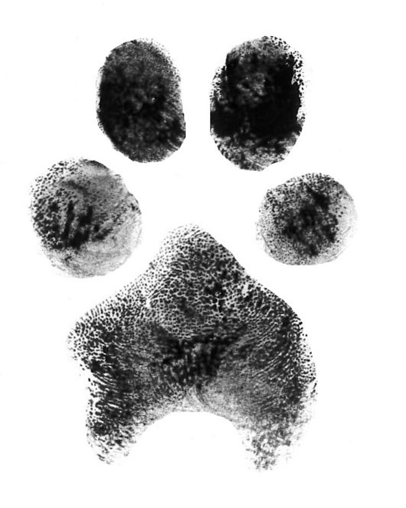 Ruby Kanupp Profile Photo