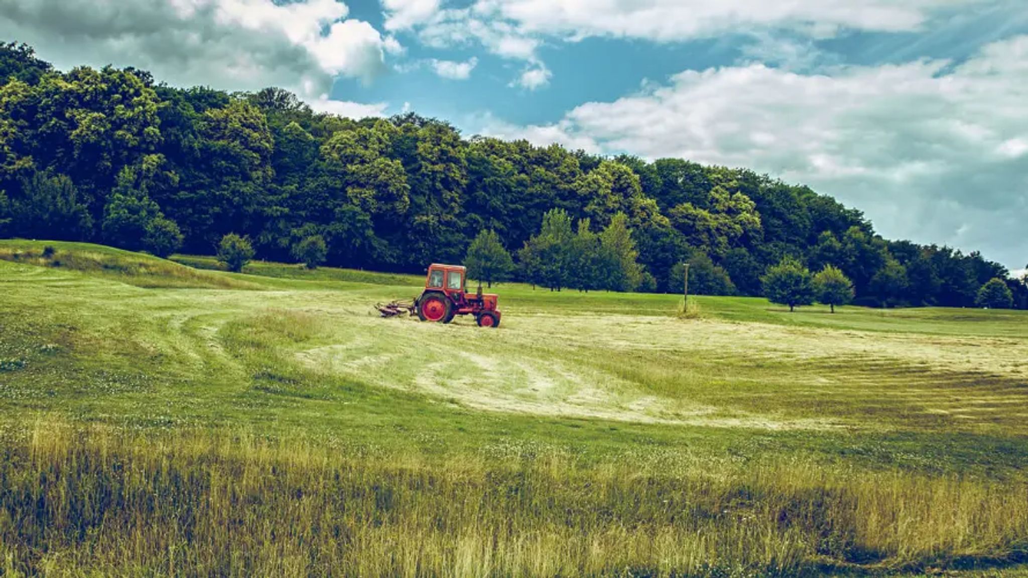 Cover for Jay Wildin's Obituary